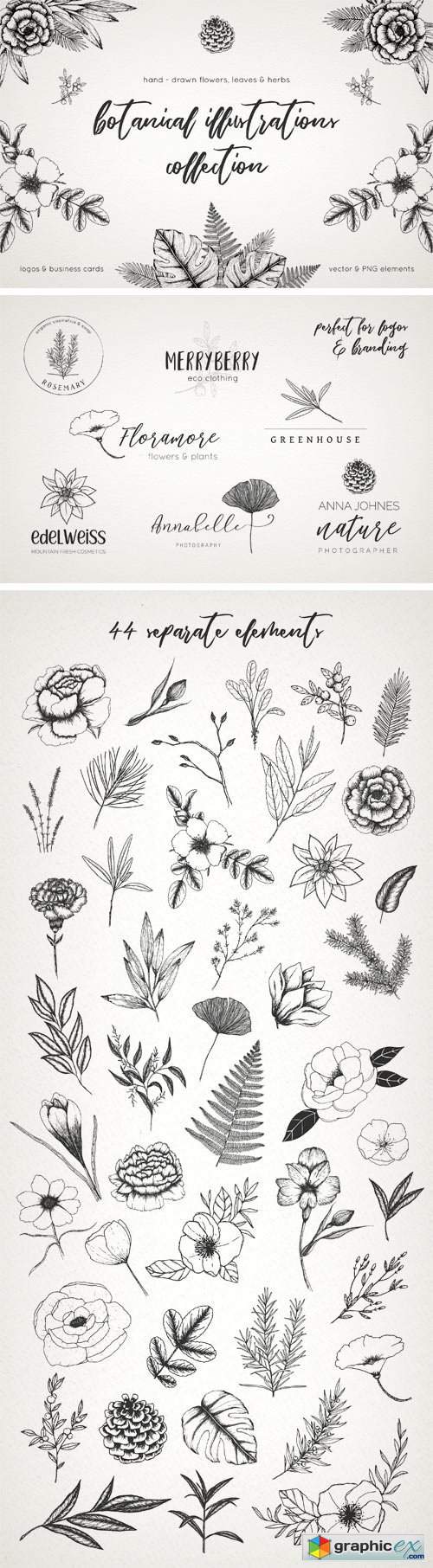 Botanical Illustrations Pack