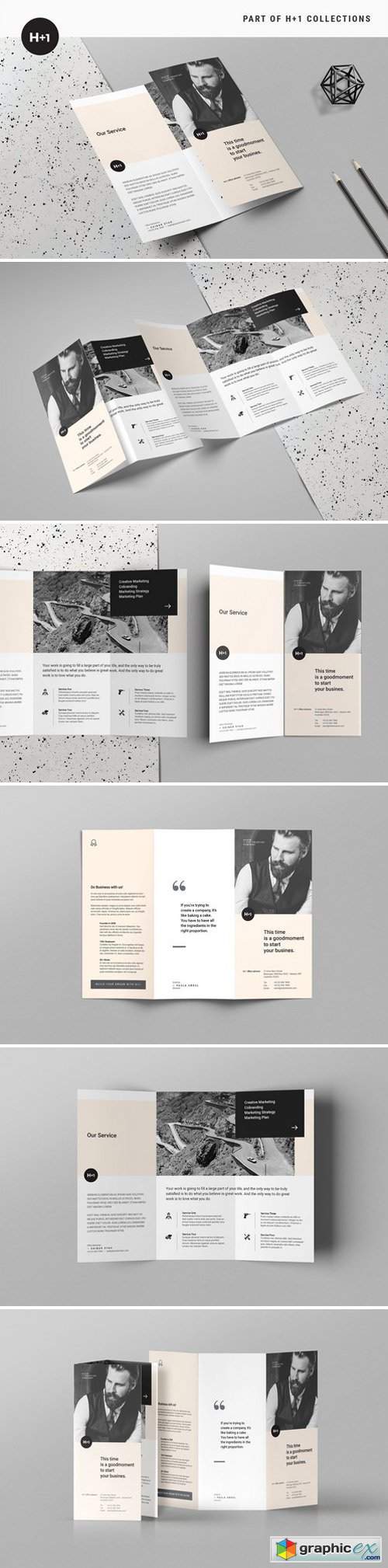 Business TriFold Brochure 2428239