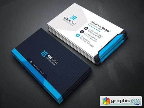 Business Card 2432799