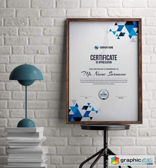 Certificate 2424042