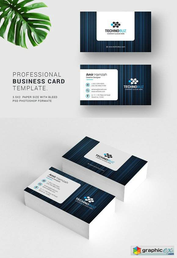 Business Cards 2474263