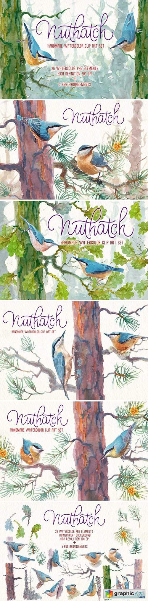 Nuthatch watercolor clipart set