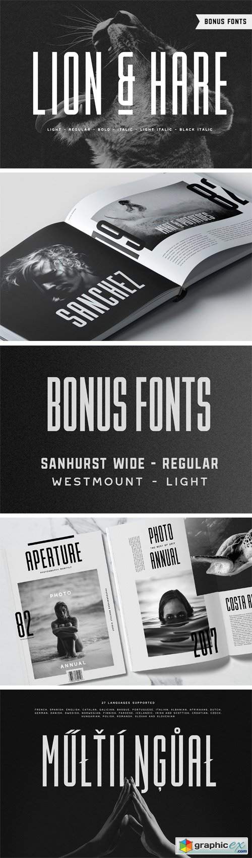 Lion & Hare Font + Bonus Fonts!