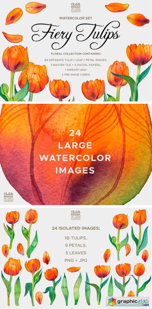 Fiery Tulips Watercolor Collection