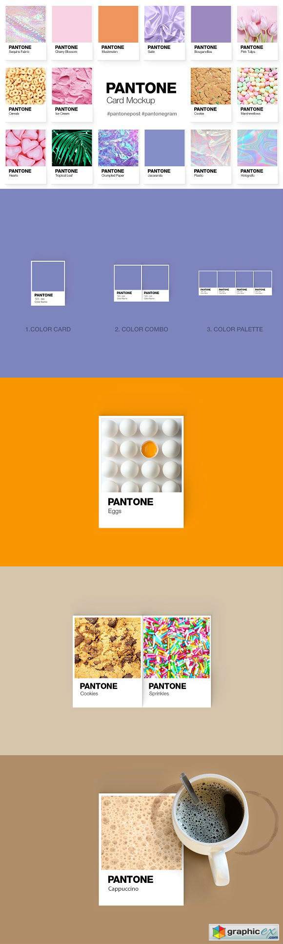 Pantone Color Cards Mockup