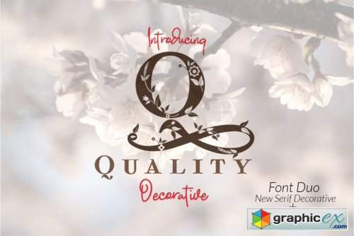 Quality Font Family - 4 Fonts