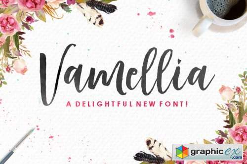 Vamellia Font Family - 2 Fonts