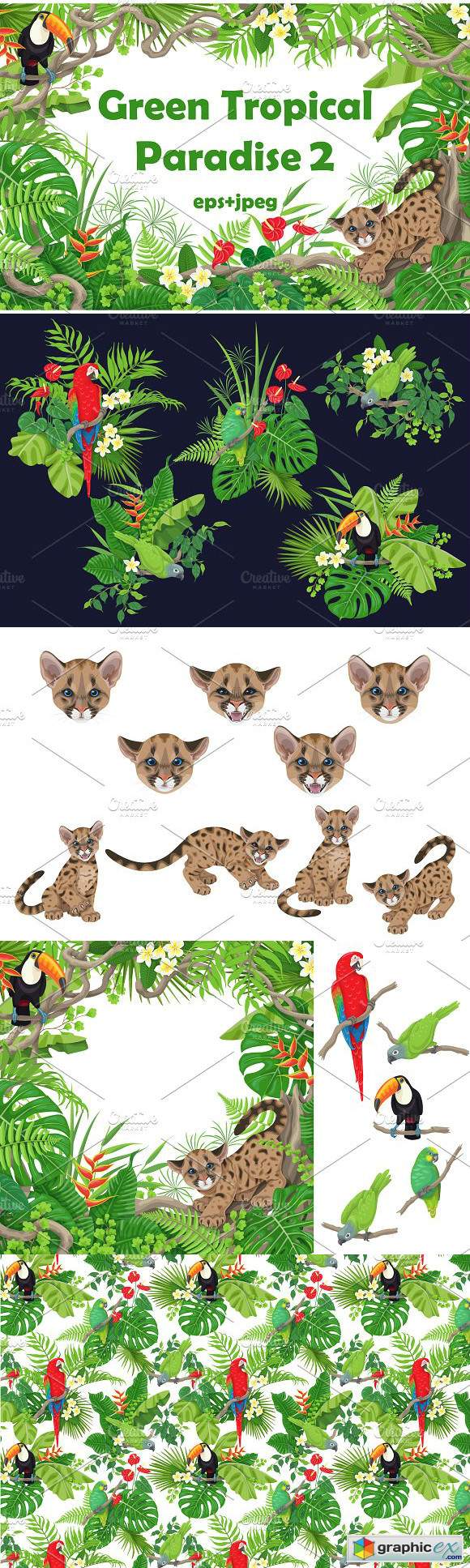 Cougar Cub and Tropical Birds
