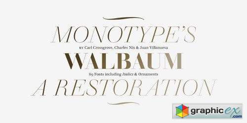 Walbaum Font Family - 69 Fonts
