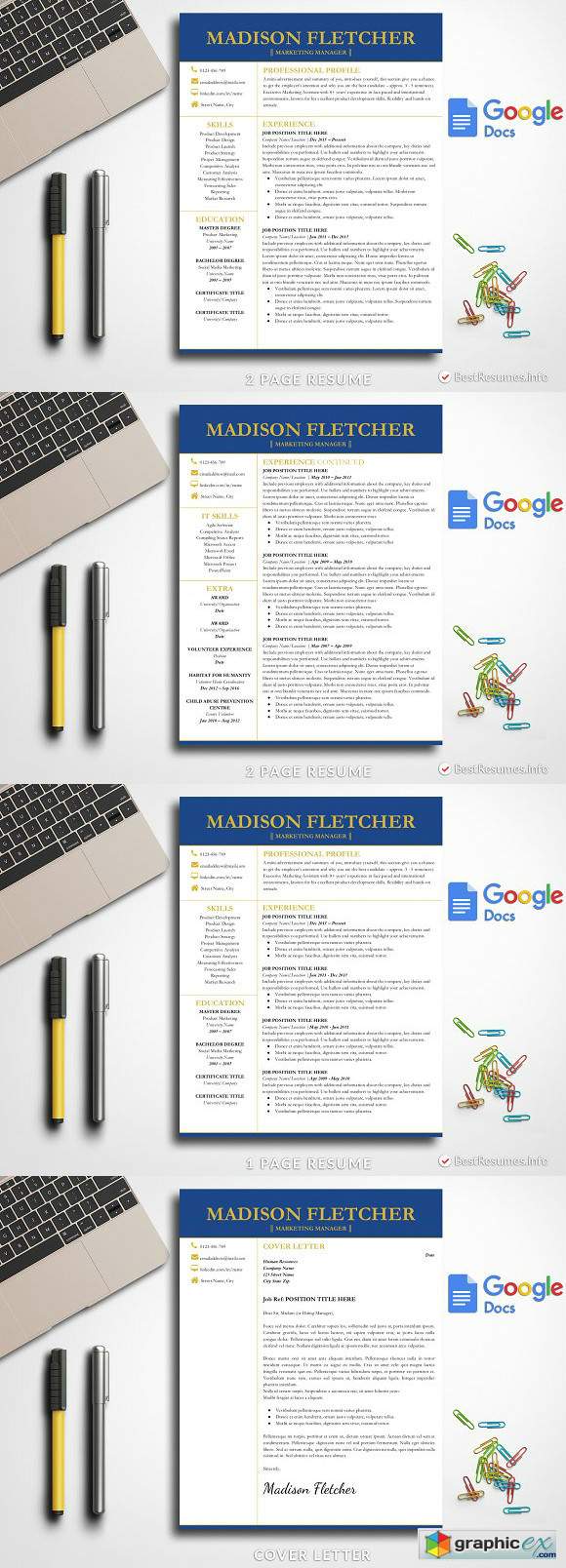 Professional Resume Google Docs