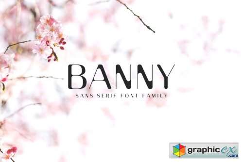 Banny Sans Serif Family - 3 Fonts