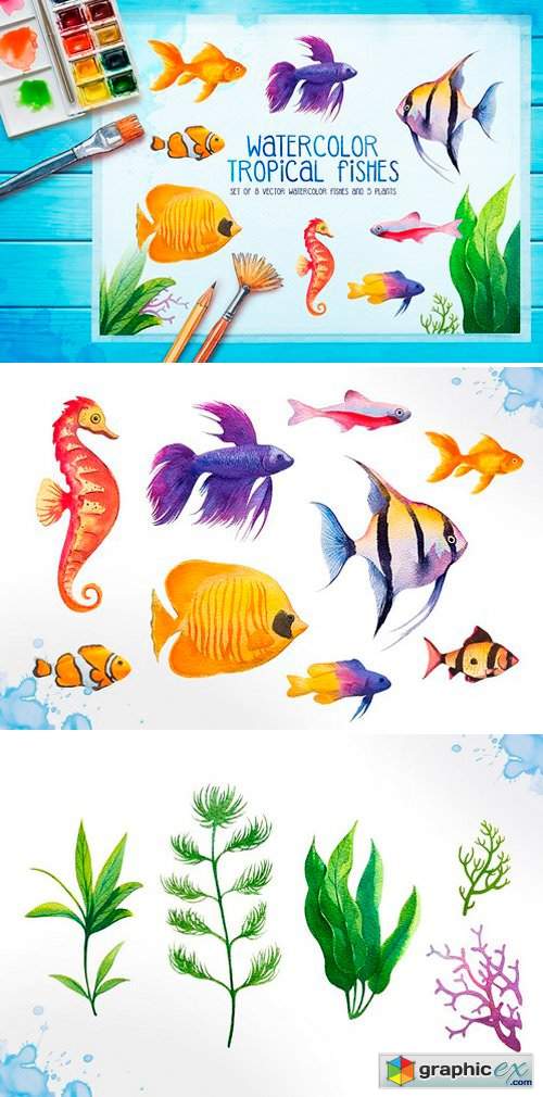 Aquarium fishes. Watercolor