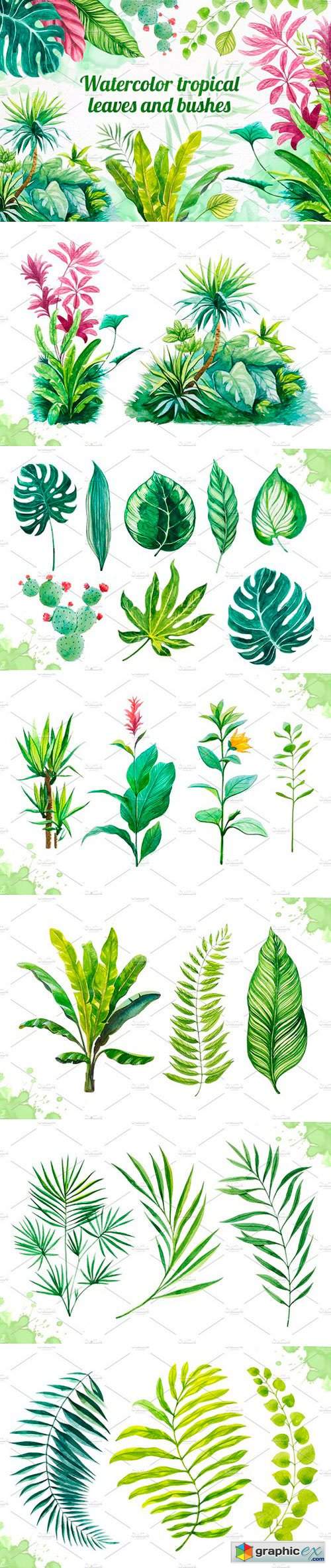 Watercolor tropical leaves set#2