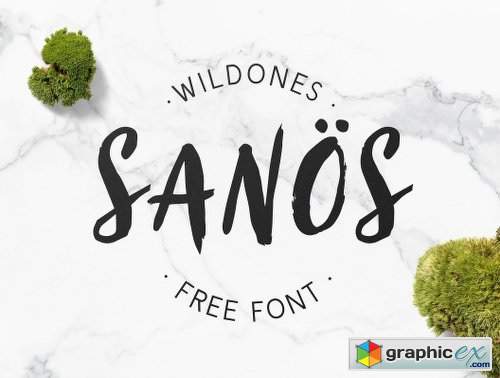 Sanos Brush Script Font