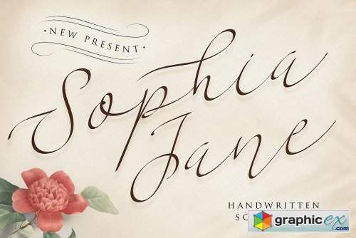 Sophia Jane Script Font Family - 2 Fonts