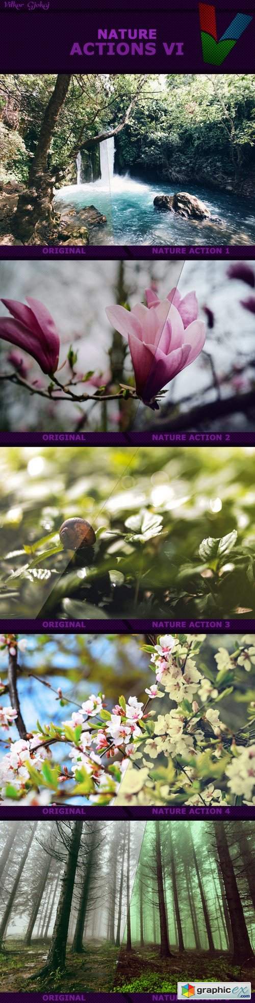 Nature Actions VI