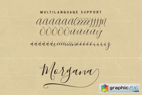 Morgana Script Font Family - 2 Fonts