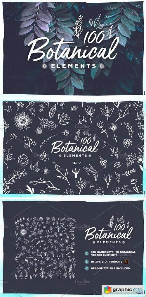 100 Handsketched Botanical Elements