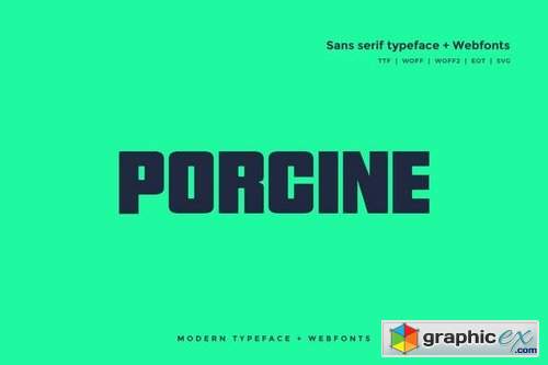 Porcine - Modern typeface + WebFont
