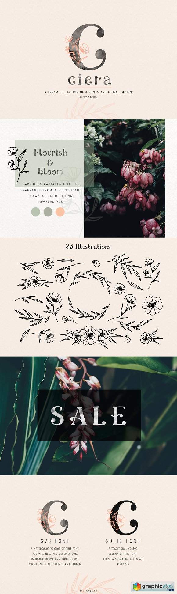 Ciera watercolor svg font & florals