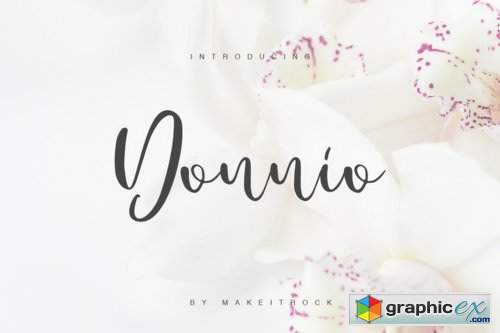Donnio Font