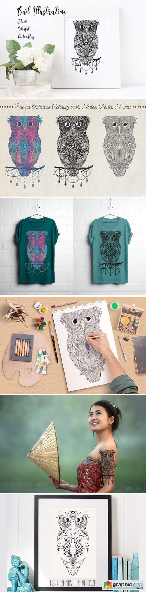 Owl Illustration: Black & Colorful
