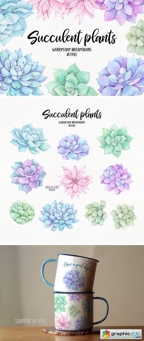 Succulent plants. Watercolor set