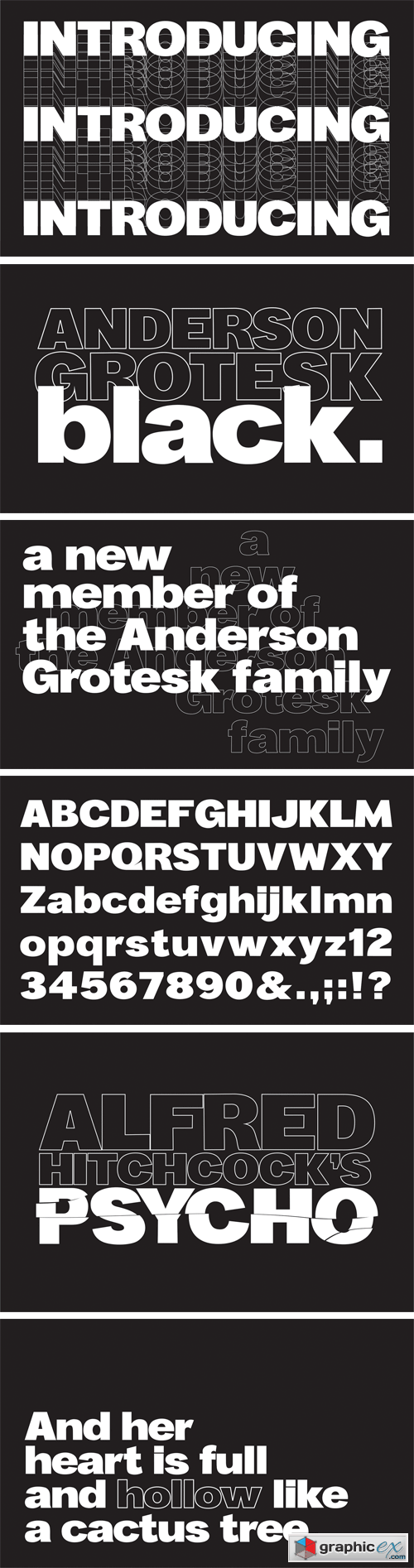 Anderson Grotesk Black Typeface