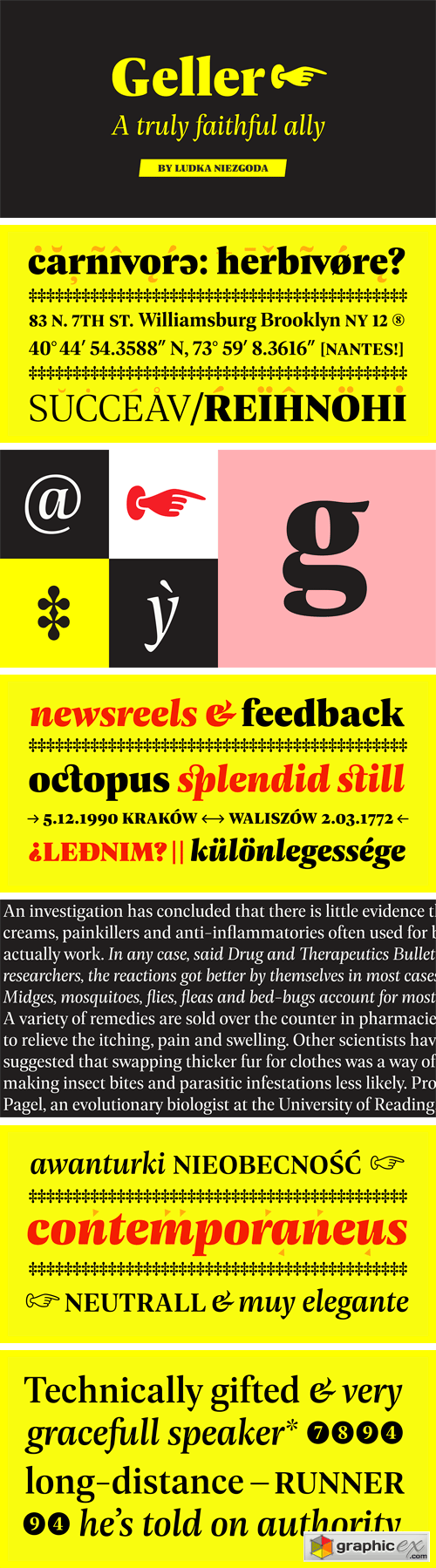 Geller Headline Font Family