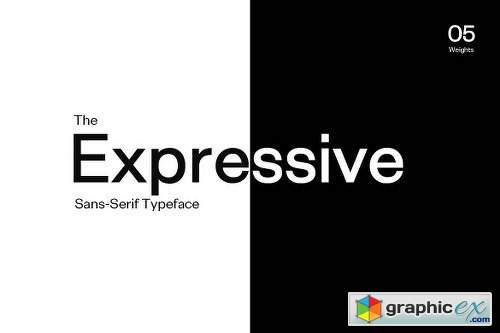 Exensa Grotesk Typeface + Web Fonts