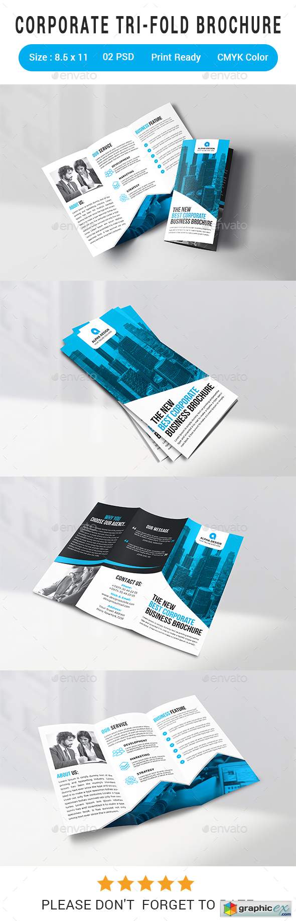 Corporate Tri-fold Brochure 22567037