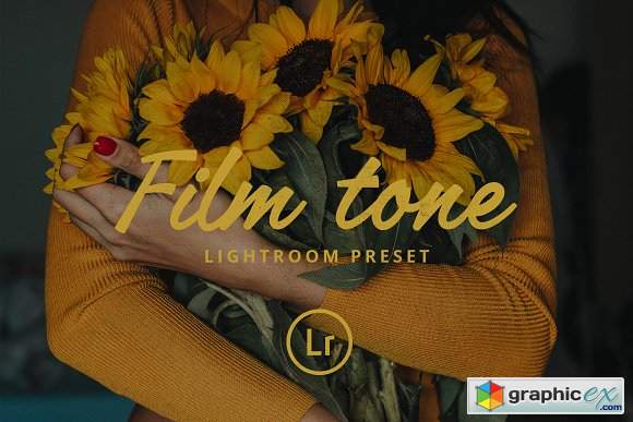 Film tone Lightroom preset 2980455