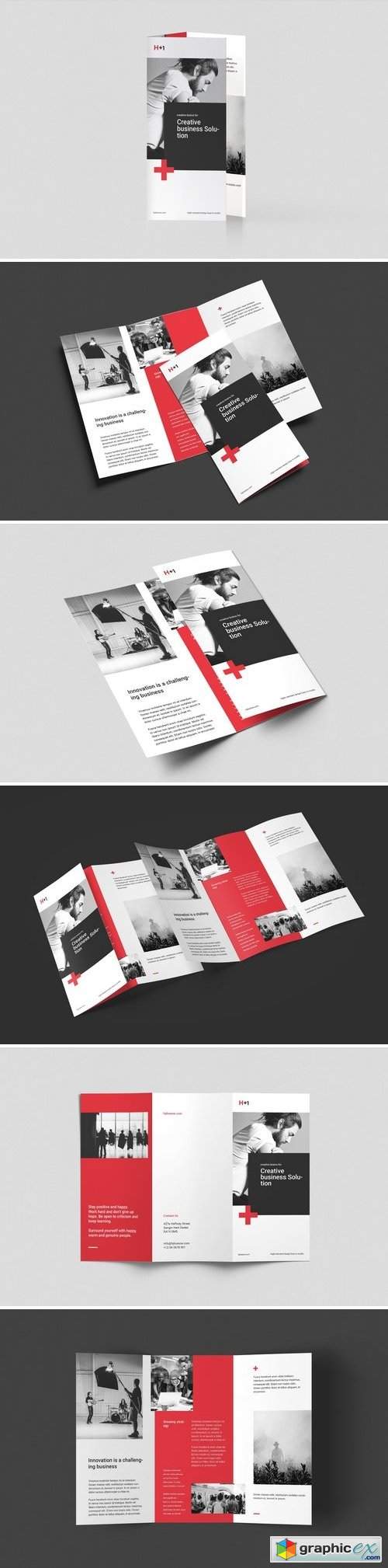 Corporate Trifold Brochure 3002849