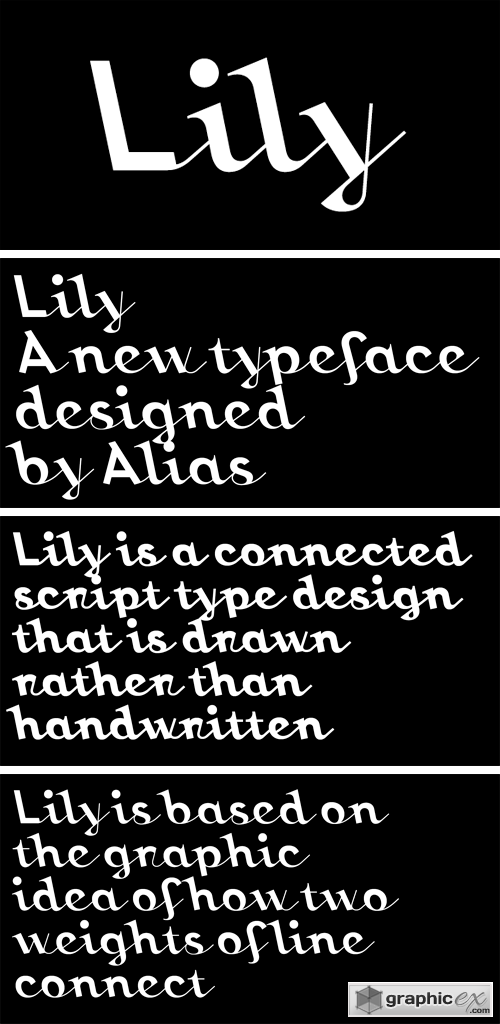 Lily Font Family
