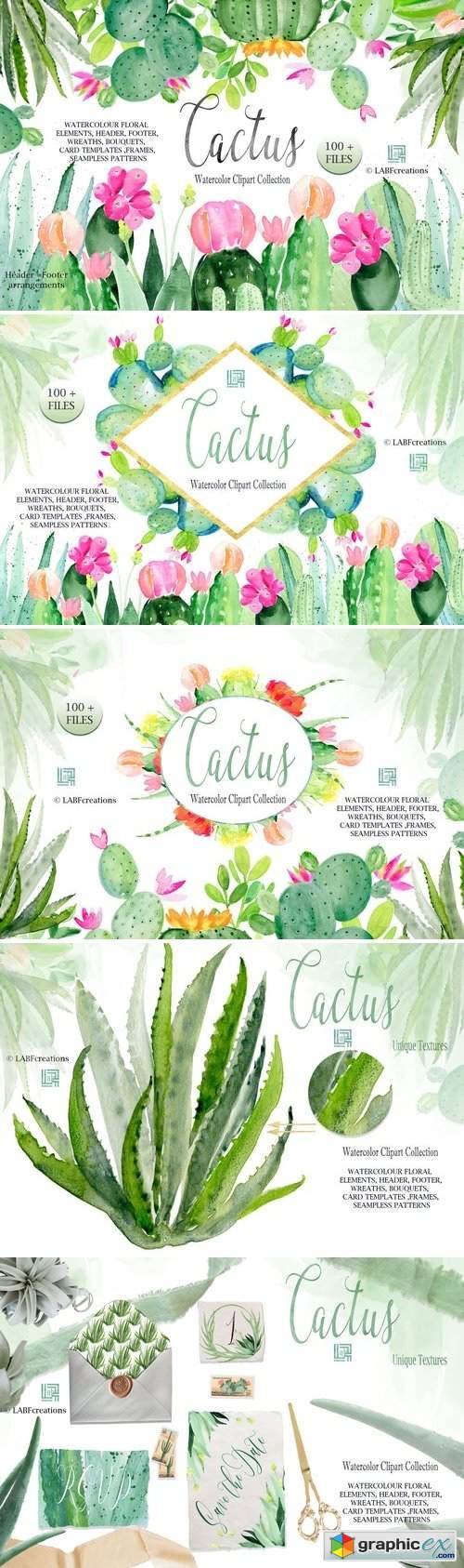 Cactus watercolr clipart collection