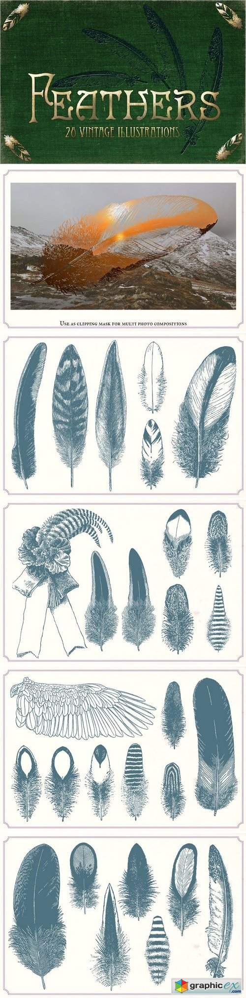 Vintage Feathers