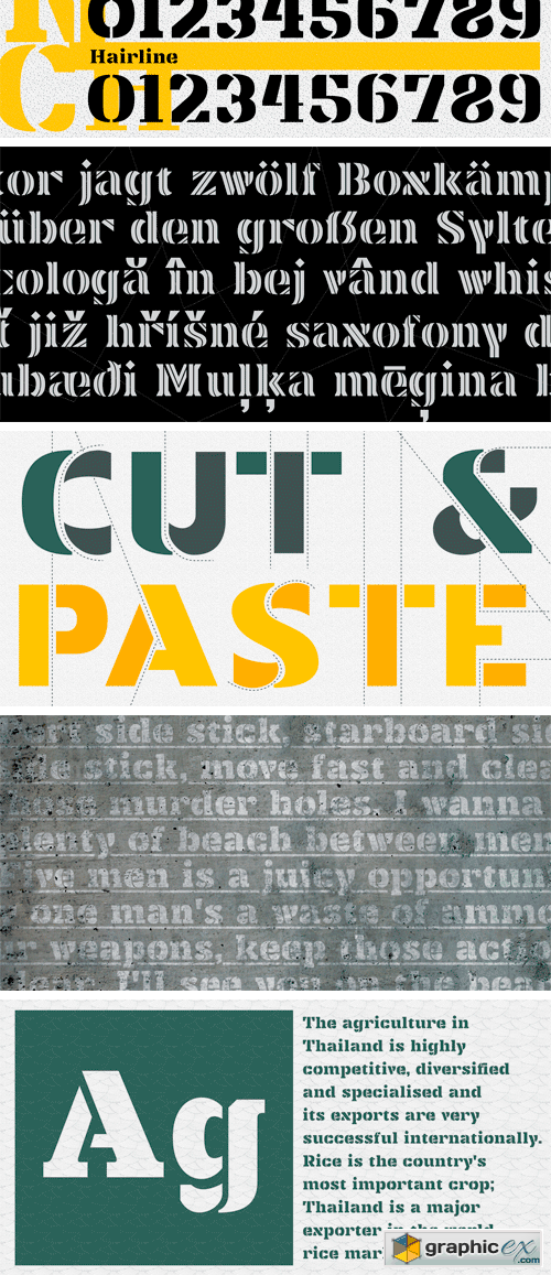 Punch Pro Font Family