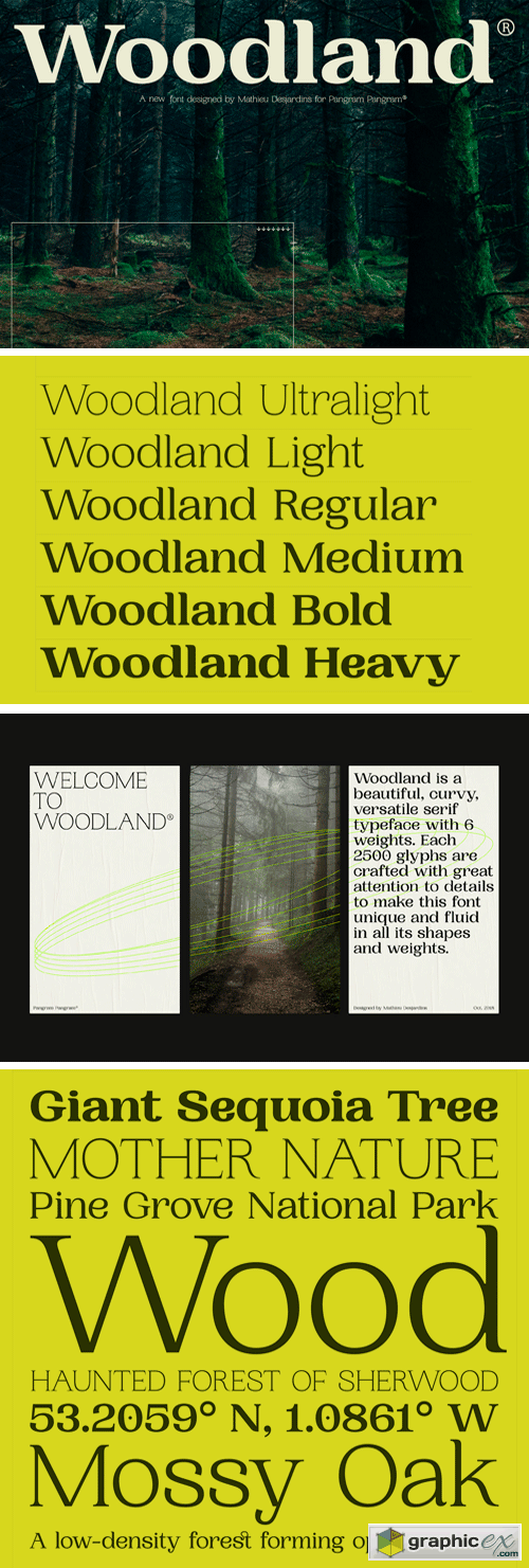 Woodland Font Family