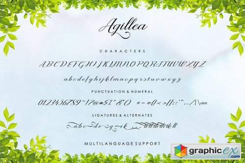 Agillea Script Font