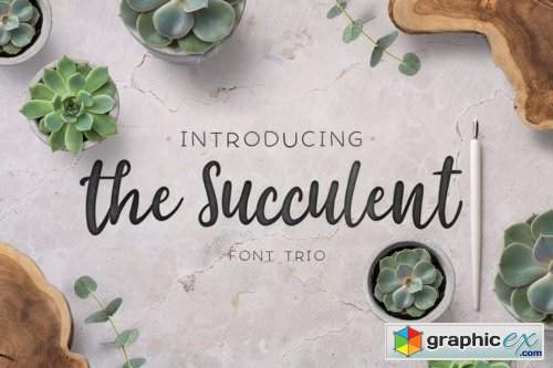 The Succulent - Font Trio!