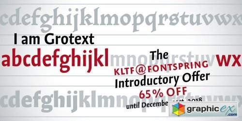 Grotext Font Family - 14 Fonts