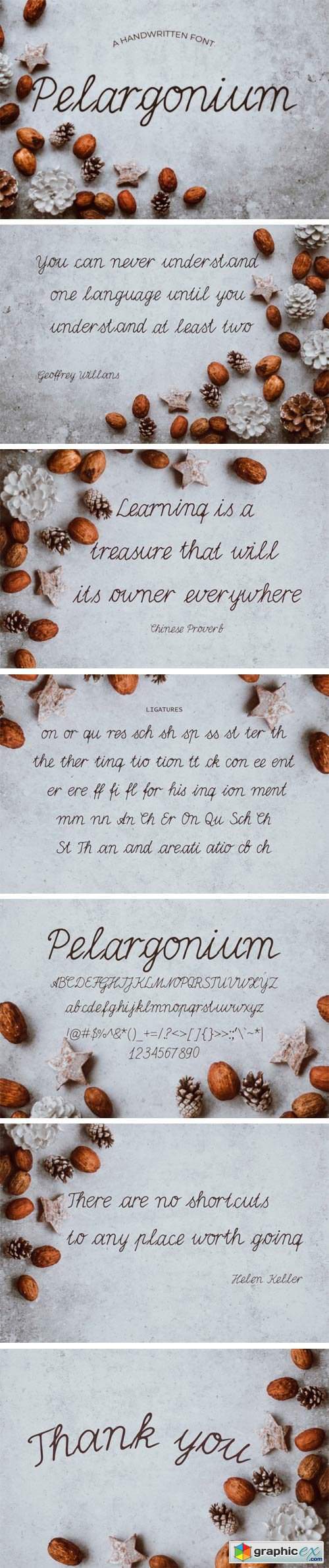 Pelargonium Font