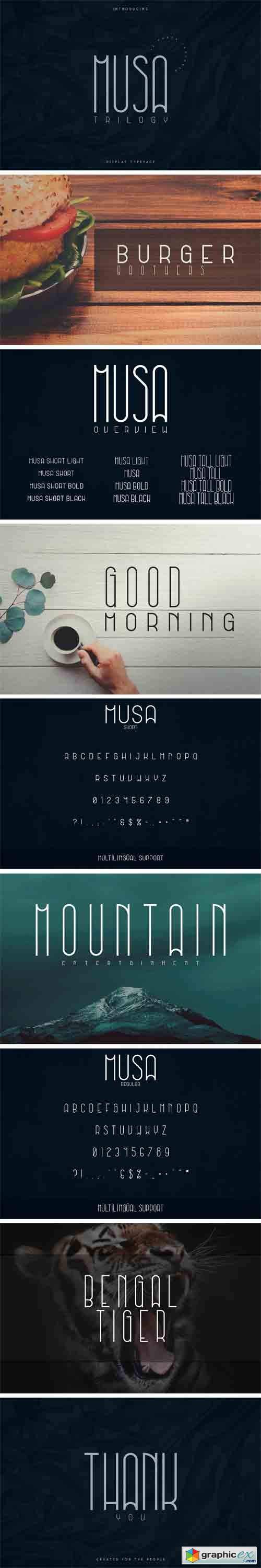 Musa Display Typeface - 12 Fonts