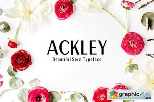 Ackley Sans Serif Font Family