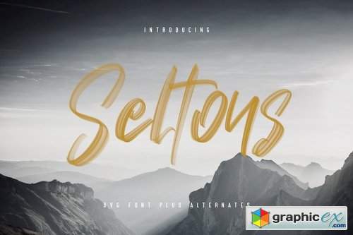 Seltons - SVG Font
