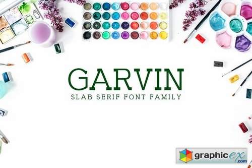 Garvin Slab Serif Font Family