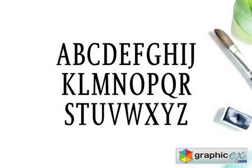 Orrick Slab Serif Font Family 1676566
