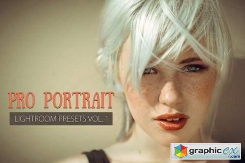 10 Portrait Lightroom Presets Ver. 1