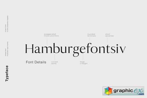 Antique - Luxury Serif Typeface 3341401