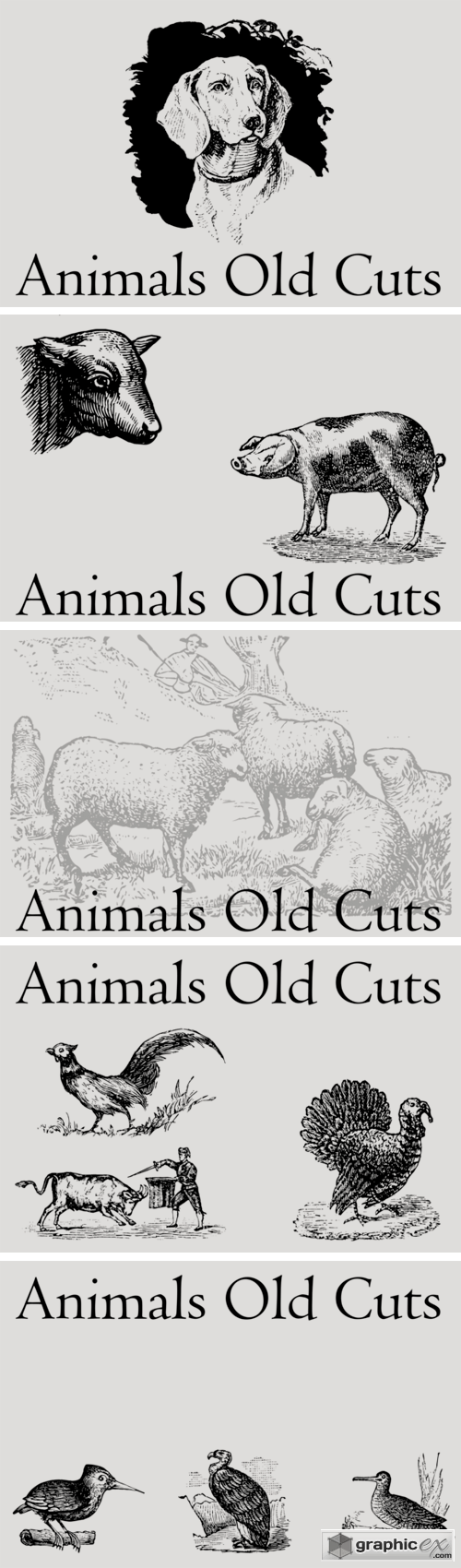 Animals Old Cuts Font